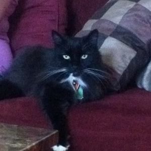 Meet your Posher, Rene